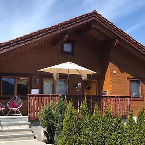 Beautiful Log Cabin Near Wildkogel Arena Villa Sulzau Exterior photo