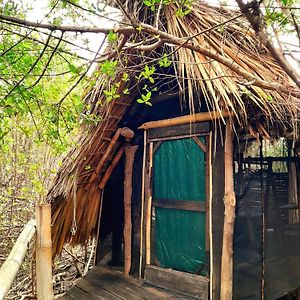 Eco Hostal Tonatiuh Hotel Mazunte Exterior photo