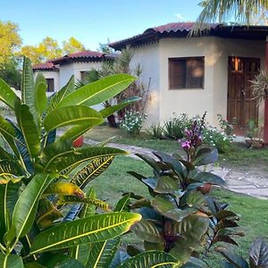 Room In Cabin - Cabana With Breakfast And Pool On The Beach Las Penitas Exterior photo