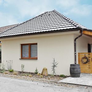 Penzion U Restaurace Na Koreji Hotel Steti Exterior photo