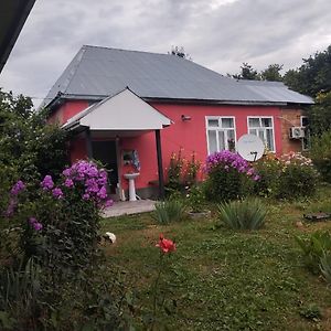 Topchu Guest House-Topcu Qonaq Evi Exterior photo