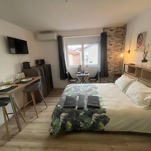 Bach Studio Balneo Au Calme Parking Gratuit Apartment Chasse-sur-Rhone Exterior photo