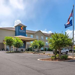 Comfort Inn & Suites Crestview Exterior photo