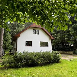 U Ledniho Medveda Apartment Tyn nad Vltavou Exterior photo