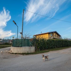 Roberta House Bed & Breakfast Isernia Exterior photo