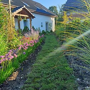 Agroturystyka Pod Debami Bed & Breakfast Boleslawiec  Exterior photo