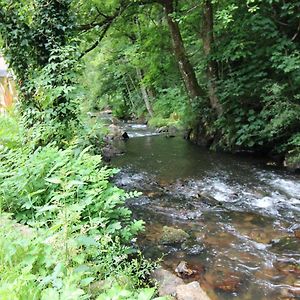 Le Vieux Moulin De Guingamp Bed & Breakfast Begard Exterior photo