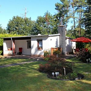 Haus Waldidyll Am Briesensee Villa Neu Zauche Exterior photo