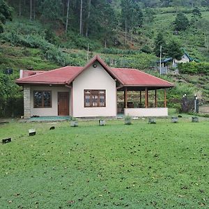 Tea Flower Adventure Apartment Tawalantenna Exterior photo