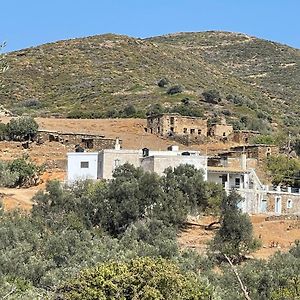 Aegean Cottage Andros Makrotandalon Exterior photo