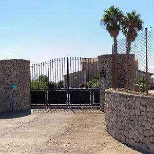 Idyllische Natur-Finca Mit 12M Pool & Meerblick Villa Porto Cristo Exterior photo