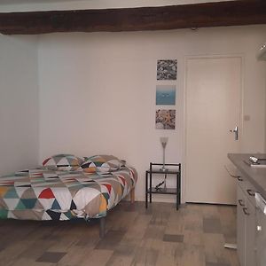 Promo 1-12Nov Toulouse 15Mn Studio Rdc Lit 140 Cm Cuisine Equipee Propre Apartment Montastruc-la-Conseillere Exterior photo