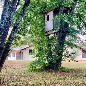 Le Refuge Des Bois Villa Villandraut Exterior photo