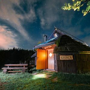 Koca Kronca - Velika Planina Villa Stahovica Exterior photo