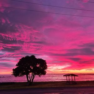 The Anchor Inn Beachfront Motel Kaikoura Exterior photo