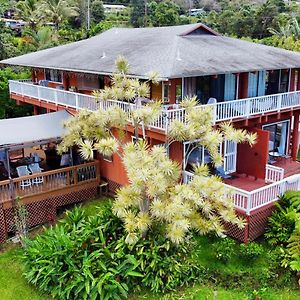 Coffee Garden Bed & Breakfast Captain Cook Exterior photo