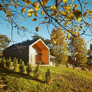 Scandinave Chalet Bran Villa Zarnesti Exterior photo