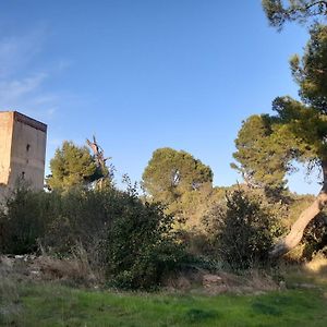 Sur Les Pas Des Templiers Apartment Trouillas Exterior photo