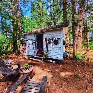 The Stabbin Cabin On Grant Island, Brantingham Lake - Hottub, Boat, Pet Friendly Villa Glenfield Exterior photo