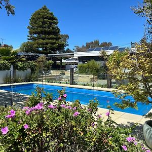 Happy Wanderer Motel Bendigo Children Not Permitted Over 18S Only Exterior photo