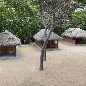 Peanut Farm Surf And Wild Resort - Arugambay Vịnh Arugam Exterior photo