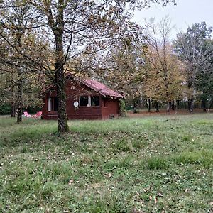 Chalet En Foret, Brame Du Cerf Villa Valpuiseaux Exterior photo