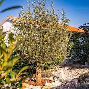 Carpe Diem In Kosinozici - Istrien Hotel Porec Exterior photo