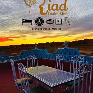 Riad Dades Birds Hotel Boumalne Dades Exterior photo