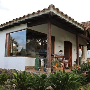 Casa Finca Pietrasanta Apartment Rionegro Exterior photo