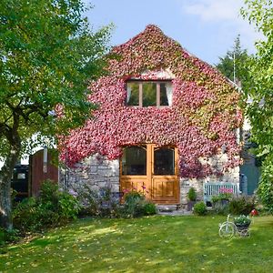 Bryn Dedwydd Cottage Llanferres Exterior photo