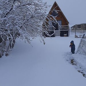 Thomas' Hut Apartment Kazbegi Exterior photo