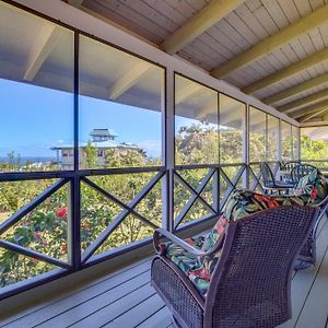 Honomu Home With Screened Lanai And Ocean Views! Pepeekeo Exterior photo