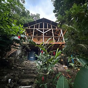 Casa Serenity By The Sea - Tree Frog House Villa Bastimentos Exterior photo