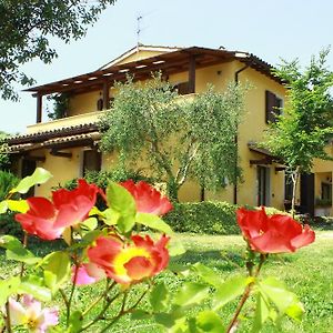 La Casa Di Gelsomino Villa Massa Martana Exterior photo