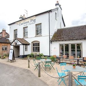 The Curious Pig In The Parlour Hotel Burstow Exterior photo