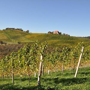 Weingut Koegl Bed & Breakfast Ratsch an der Weinstrasse Exterior photo