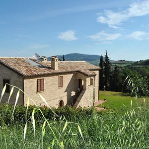 La Finestra Sul Conero Bed & Breakfast Castelfidardo Exterior photo