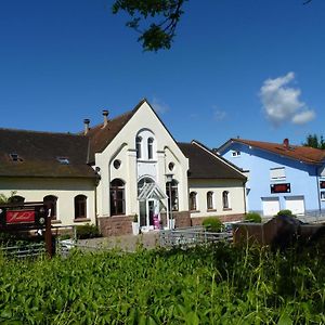 Hotel Muhleinsel Kenzingen Exterior photo