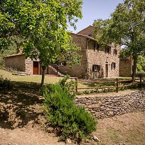 Borgo Al Teto La Vite Apartment Castiglion Fiorentino Exterior photo