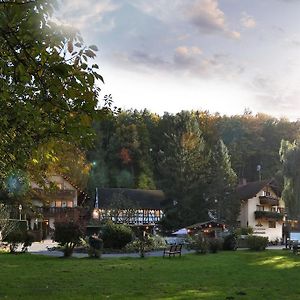 Hotel Restaurant Paradeismuehle Klingenberg am Main Exterior photo