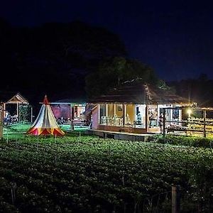 Chiang Dao Story Camp Hotel Exterior photo