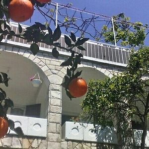 House Orange Apartments Herceg Novi Exterior photo