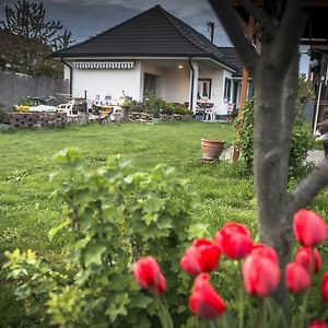 Big Garden House Villa Dunajska Streda Exterior photo