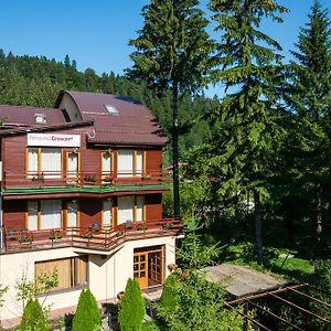 Pensiunea Crescent Hotel Brasov Exterior photo