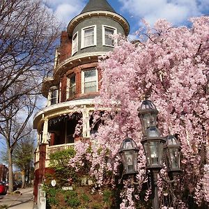 Wilson House Bed & Breakfast Baltimore Exterior photo