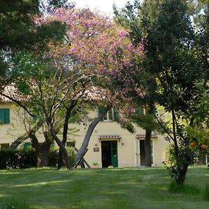 Locanda Strada Della Marina Bed & Breakfast Scapezzano Exterior photo