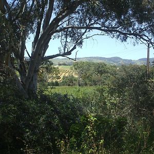 Archery Road Estate Villa Tanunda Exterior photo