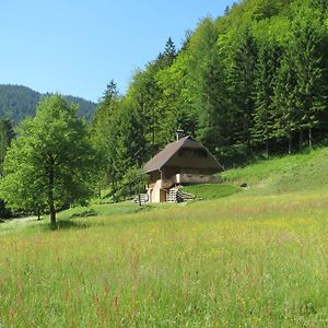 Chalet Brloznica Pod Veliko Planino Villa Luce Room photo