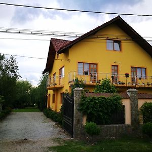 Pensiunea Ramona Hotel Carpinisu Exterior photo