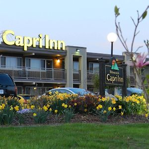 Capri Inn Saint Catharines Exterior photo